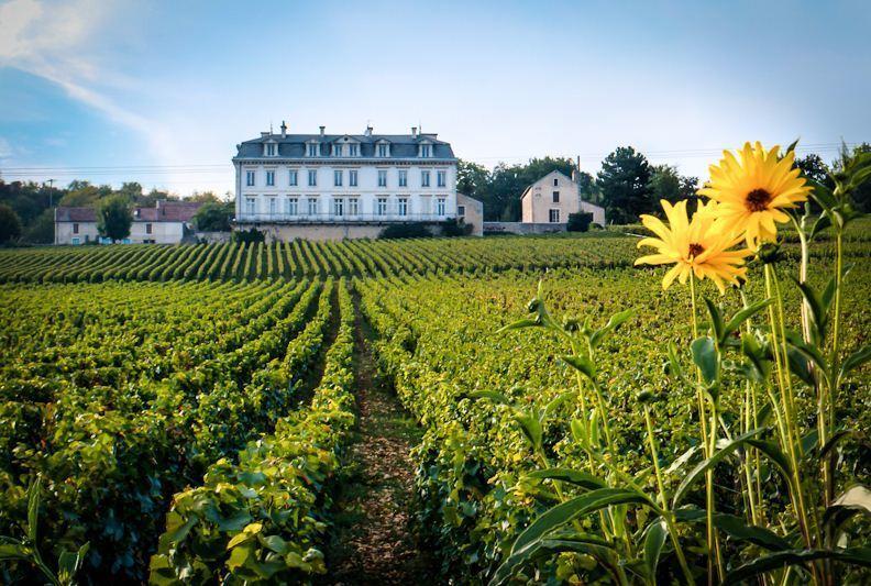 Gites Chateau Comblanchien Екстериор снимка