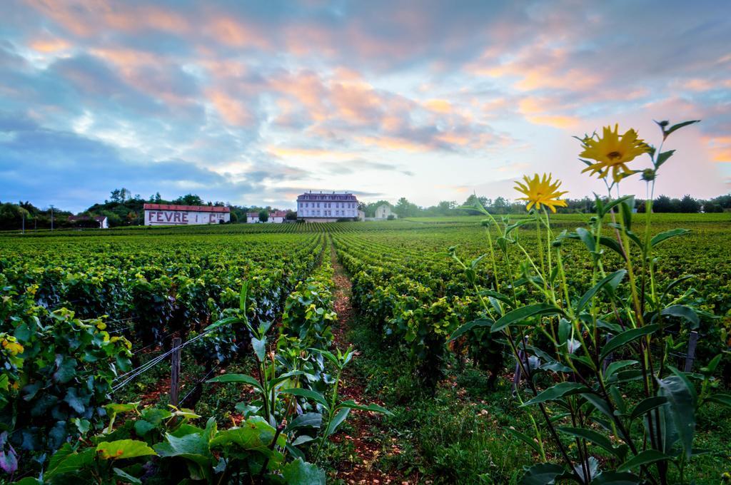 Gites Chateau Comblanchien Екстериор снимка